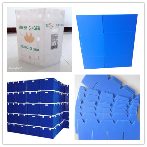 中空板，中空板周轉(zhuǎn)箱