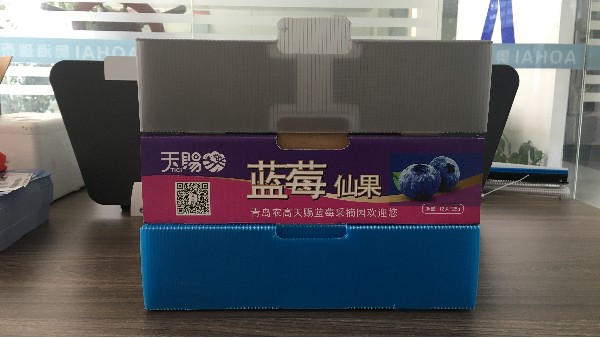 春季大火藍(lán)莓中空板周轉(zhuǎn)箱上市