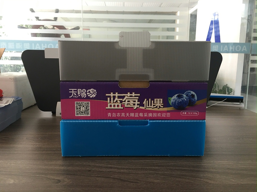 中空板折疊藍(lán)莓箱